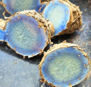 Fresh Black Turmeric Root, Size- 100g To 200g