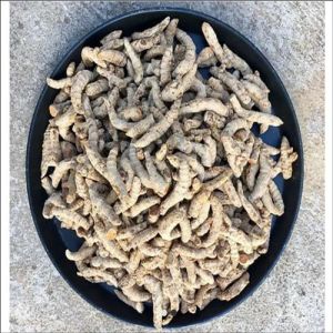 Dried Black Turmeric Finger