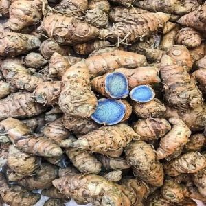 Fresh Black Turmeric Finger