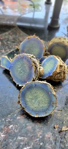 Fresh Black Turmeric Root, Above 200g