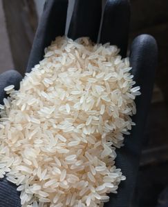 IR 64 Rice