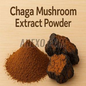 Chaga Mushroom Extract Powder
