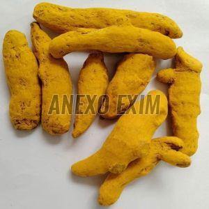 Erode Turmeric Finger