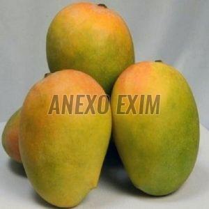 Fresh Kesar Mango