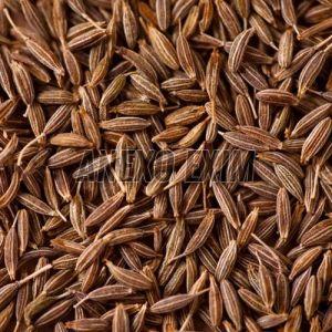 Gujarati Cumin Seeds
