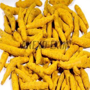 Nizamabad Turmeric Finger