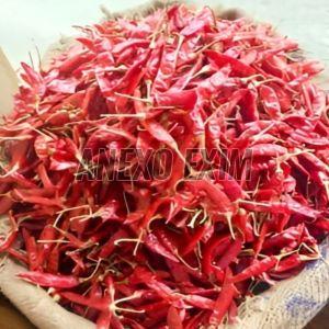 S4 Dried Red Chilli