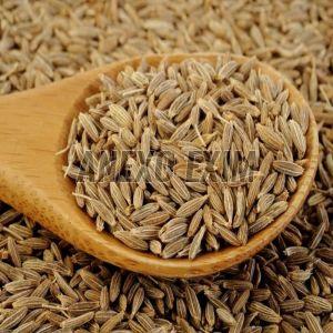 Cumin Seeds