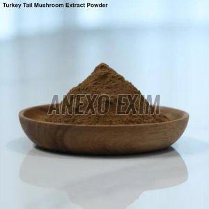 Turkey Tail Mushroom Extract Powder