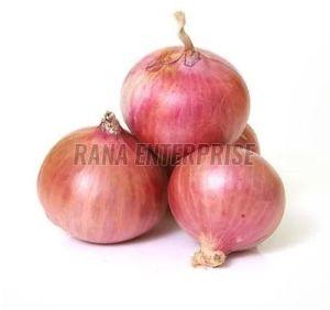 A Grade Fresh Pink Onion