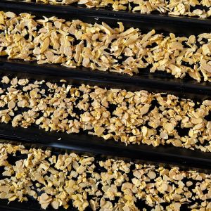 Dried Ginger Slices