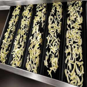 Dried Mango Slices