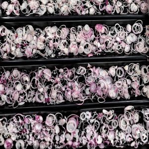 Dried Onion Slices