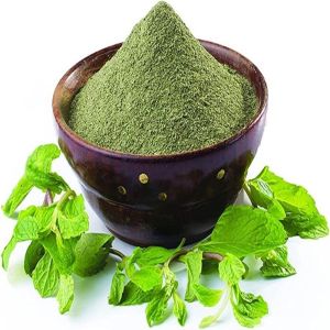 Mint Leaves Powder