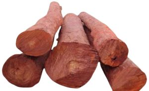 Natural Red Sandalwood LOG