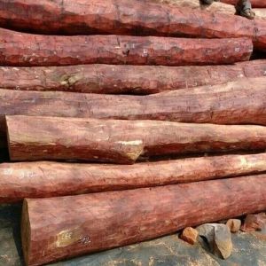 Red Sandalwood Logs