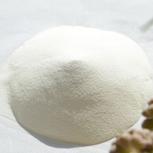 Food Grade Carboxymethyl Cellulose Powder