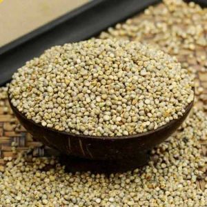 Bajra Pearl Millet