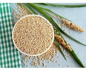 Organic Jowar Seed