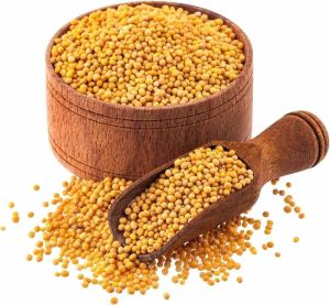 Yellow Mustard Seed