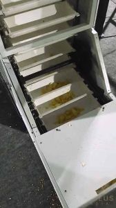 1 HP Automatic Tea Pouch Packing Machine