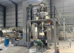 Automatic Multihead Weigh Packing Machine
