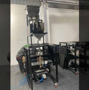 Double Head Pouch Filling Machine