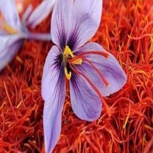 Kashmiri Mogra Saffron