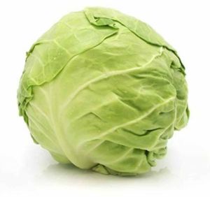 Fresh Green Cabbage
