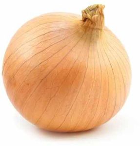 Fresh Karnataka Onion