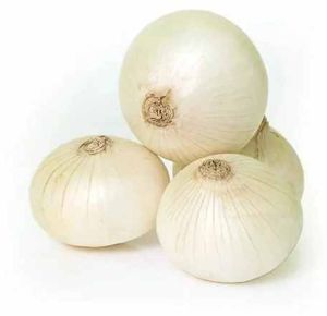 Fresh White Onion