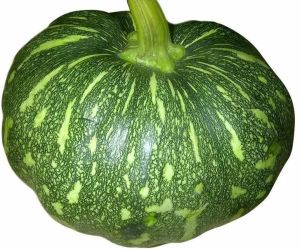 Natural Fresh Pumpkin
