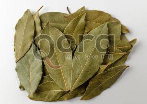 Dry Bay Leaf