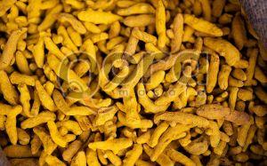 Whole Turmeric Finger