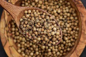 Whole Coriander Seed