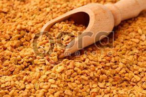 Whole Fenugreek Seed