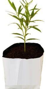 Cocopeat Grow Bags