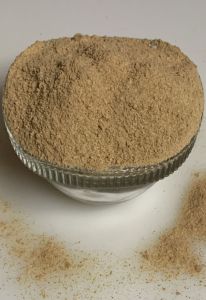 Amchur Powder