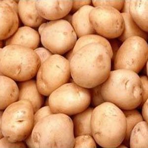 Fresh Atlantic Potato