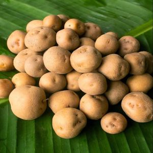 Fresh Baby Potato