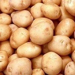 Fresh Badshah Potato