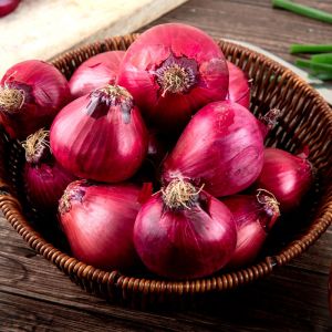 Fresh High Quality Onion