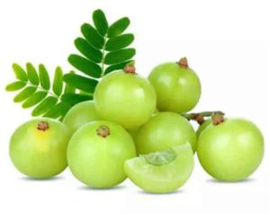 A Grade Fresh Amla