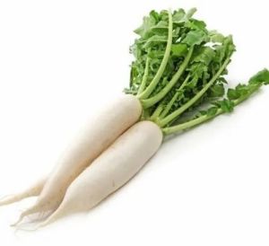 A Grade Fresh White Radish