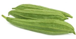 A Grade Green Fresh Ridge Gourd