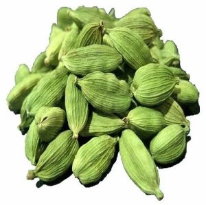 Bold Green Cardamom