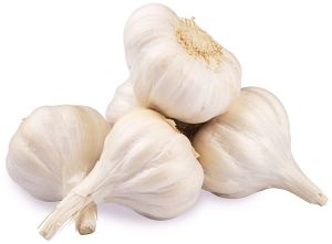 Fresh Whole Garlic