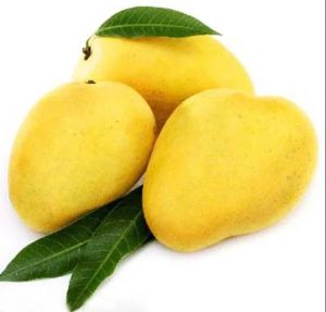 Fresh Langra Mango
