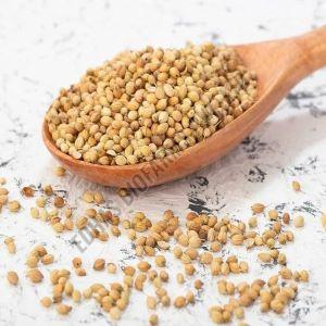 Eagle Coriander Seeds
