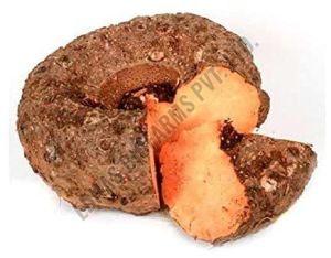Elephant Foot Yam